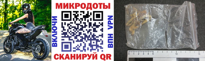 где купить Волгореченск Галлюциногенные грибы Psilocybine cubensis
